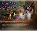 Small #10 Breeder Profile image