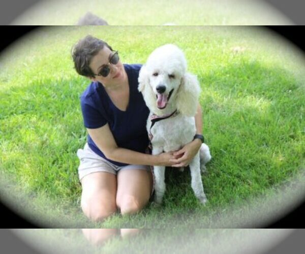 Medium Photo #1  Breeder Profile in MBORO, TN, USA