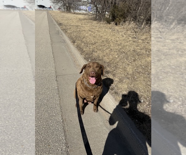 Medium Photo #5  Breeder Profile in WAUKON, IA, USA