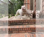 Small #13 Breeder Profile image
