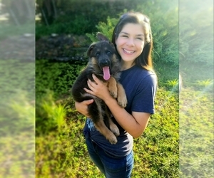 Medium Breeder Profile Photo