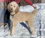 Small #13 Breeder Profile image