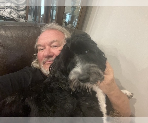 Medium Photo #5  Breeder Profile in BAYTOWN, TX, USA