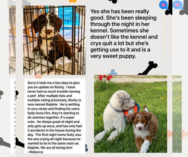 Medium Photo #8  Breeder Profile in SHIOCTON, WI, USA