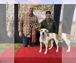 Small #4 Breeder Profile image