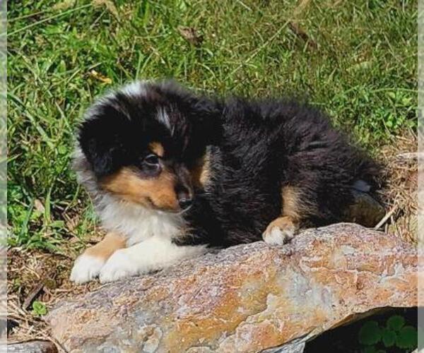Medium Photo #3  Breeder Profile in WARNE, NC, USA