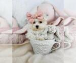 Small Photo #6  Breeder Profile in PEMBROKE PINES, FL, USA