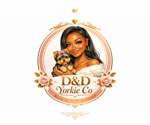 Yorkshire Terrier Dog Breeder near WALKERSVILLE, MD, USA