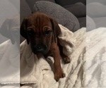 Small #14 Breeder Profile image