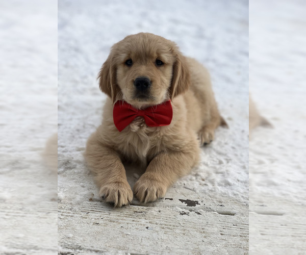 Medium Photo #7  Breeder Profile in WEST MIDDLESEX, PA, USA
