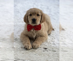 Small #6 Breeder Profile image