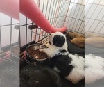 Small #32 Breeder Profile image