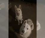Small #16 Breeder Profile image