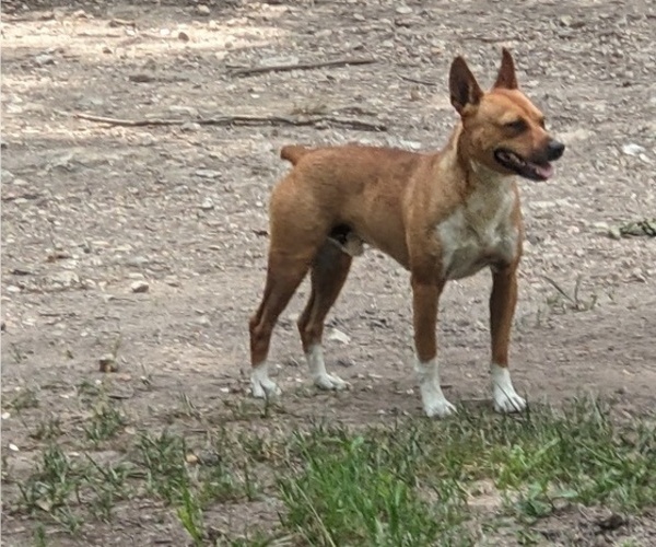 Medium Photo #2  Breeder Profile in DORA, MO, USA