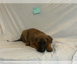 Small #5 Breeder Profile image