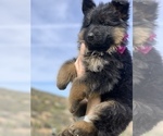 Small #146 Breeder Profile image
