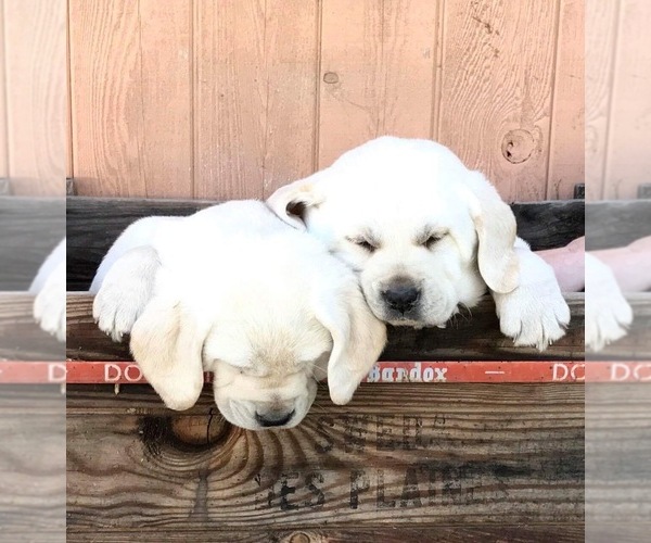 Medium Photo #19  Breeder Profile in PAUMA VALLEY, CA, USA