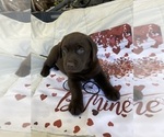 Small #6 Breeder Profile image