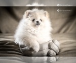 Small #7 Breeder Profile image