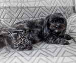 Small #4 Breeder Profile image