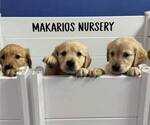 Small #1 Breeder Profile image