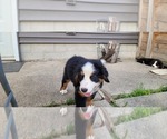 Small #3 Breeder Profile image