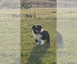 Small #2 Breeder Profile image