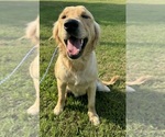 Small #13 Breeder Profile image