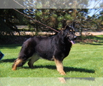 Small #6 Breeder Profile image
