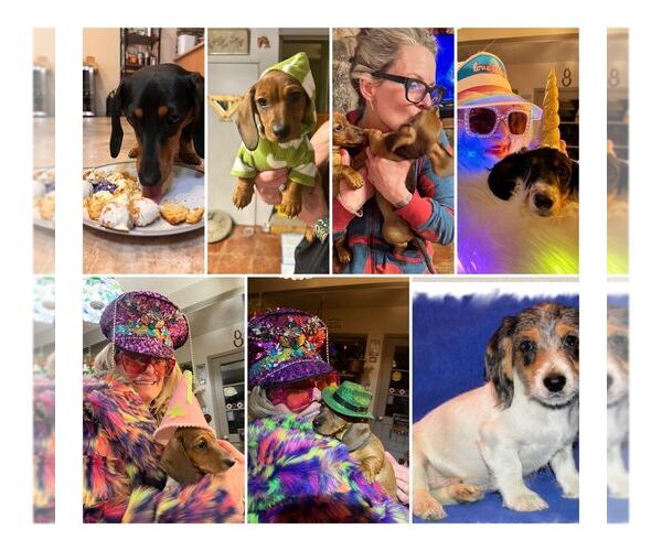 Medium Photo #7  Breeder Profile in STEAMBOAT SPRINGS, CO, USA