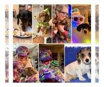 Small #6 Breeder Profile image
