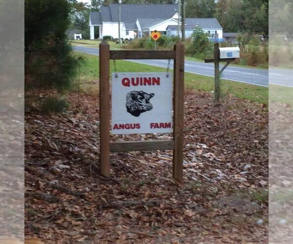 Medium Photo #1  Breeder Profile in PINK HILL, NC, USA