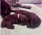 Small #24 Breeder Profile image