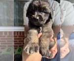 Small #2 Breeder Profile image