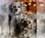 Small #25 Breeder Profile image