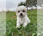 Small #2 Breeder Profile image