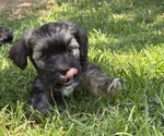 Small #9 Breeder Profile image