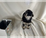 Small #33 Breeder Profile image