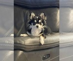 Small #81 Breeder Profile image