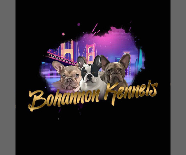 Medium Photo #1  Breeder Profile in ALAMEDA, CA, USA