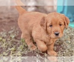 Small #5 Breeder Profile image