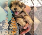 Small #20 Breeder Profile image