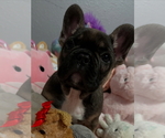 Small #3 Breeder Profile image