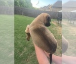 Small #23 Breeder Profile image