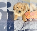 Small #1 Breeder Profile image