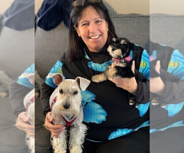 Medium Photo #1  Breeder Profile in BURNET, TX, USA