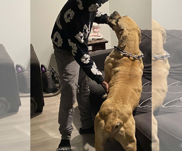 Medium Photo #3  Breeder Profile in BELLEVUE, NE, USA