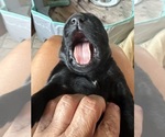 Small #1 Breeder Profile image