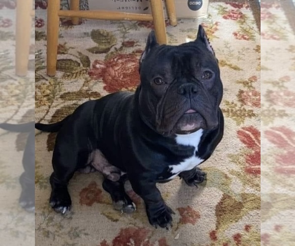 Medium Photo #1  Breeder Profile in HOLLOWAY, MN, USA