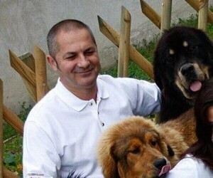 Tibetan Mastiff Dog Breeder near Debrecen, Hajdu-Bihar, Hungary